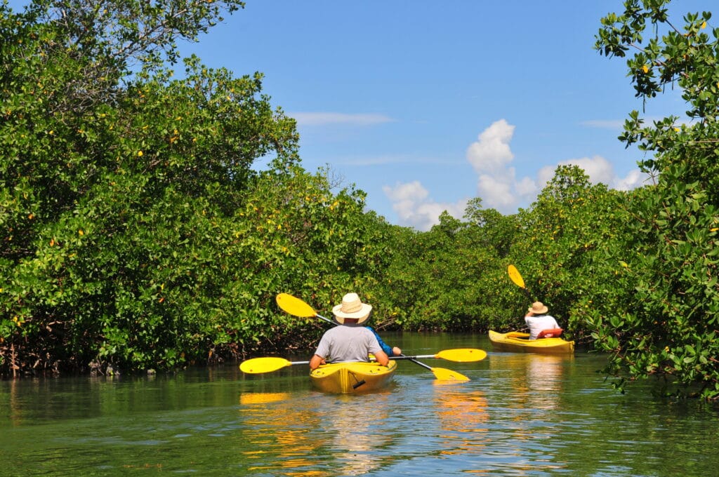 Kayak tour in the Grand Bahamas